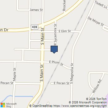 2520 Guineas Lane Aubrey, TX MLS# 21281387
