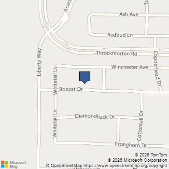 2817 Bobcat Drive Melissa, TX MLS# 21244115