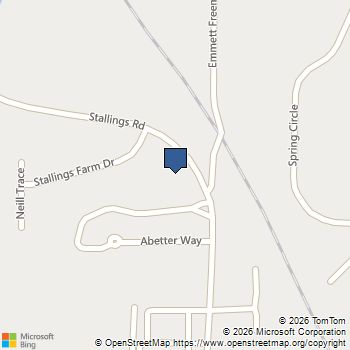 20 Stallings Farm Drive 2 Senoia, GA MLS# 10834477