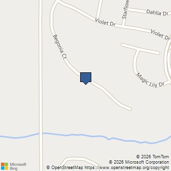 132 Begonia Court Griffin, GA MLS# 10821392