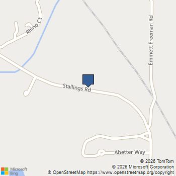 917 N Stallings Farm 29 Senoia, GA MLS# 10710263