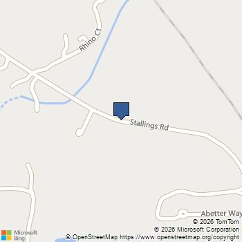 949 Stallings Road Senoia, GA MLS# 10741434