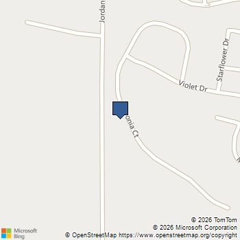 164 Begonia Court Griffin, GA MLS# 10664603