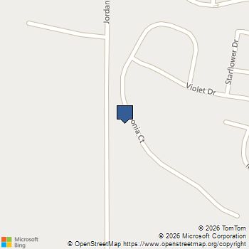 164 Begonia Court Griffin, GA MLS# 10664603