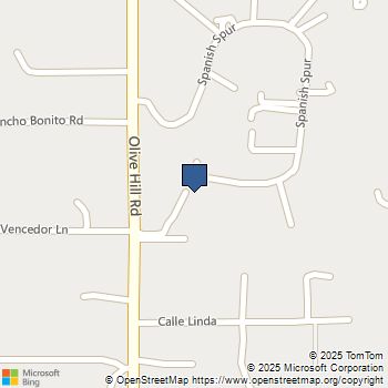 358 Spanish Spur Fallbrook, CA MLS# NDP2510605