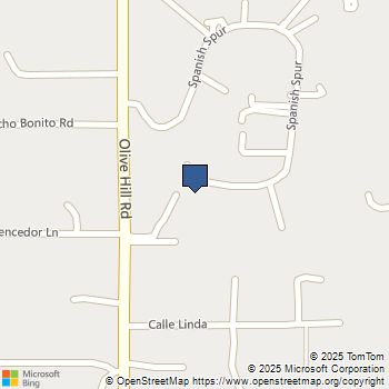 358 Spanish Spur Fallbrook, CA MLS# NDP2510605