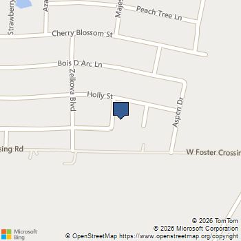 3009 Teakwood Street Anna, TX MLS# 21373045