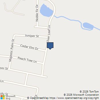 2621 Silver Leaf Lane Anna, TX MLS# 21301652