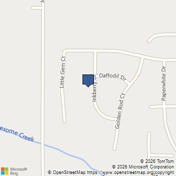 517 Inkberry Drive Griffin, GA MLS# 10838856
