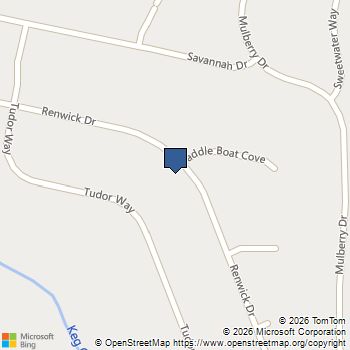 110 Renwick Drive Senoia, GA MLS# 10772113