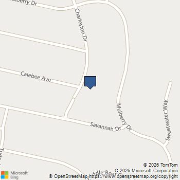 60 Charleston Drive Senoia, GA MLS# 7829386