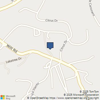 3916 Citrus Dr Fallbrook, CA MLS# 250042984SD