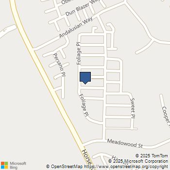 212 Perennial Place Fallbrook, CA MLS# NDP2510796