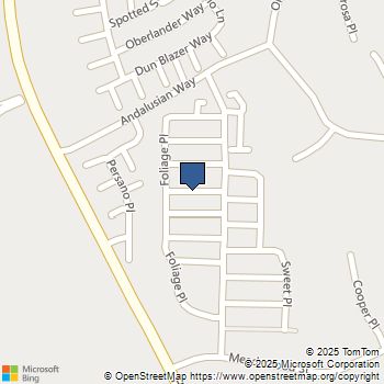 219 Canopy Trails Pl Fallbrook, CA MLS# 250042321SD