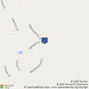 35205 Bergamot CV Lot 215 LOT 215 Fallbrook, CA MLS# 250042227SD