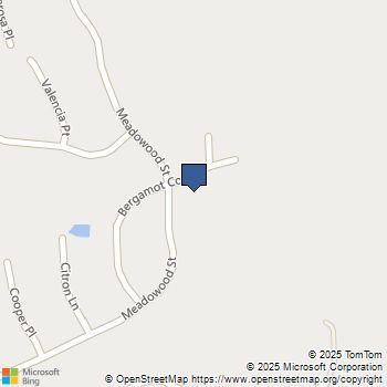 35211 Bergamot Cove LOT 216 Fallbrook, CA MLS# 250042223SD