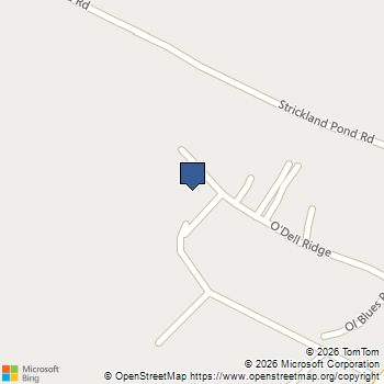 100 O Dell Ridge Newnan, GA MLS# 10695289