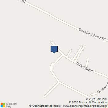 100 O Dell Ridge Newnan, GA MLS# 10695289