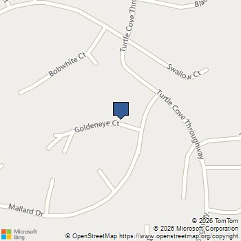 54 Goldeneye Court Monticello, GA MLS# 7850816