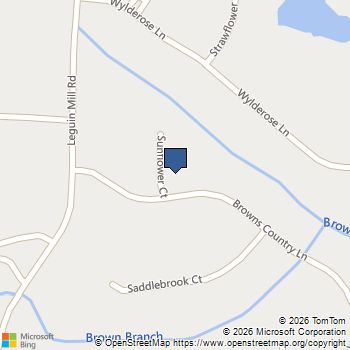 1300 Sunflower Court Locust Grove, GA MLS# 10742309