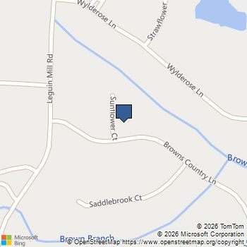 1300 Sunflower Court Locust Grove, GA MLS# 10742309