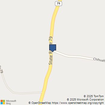 1 Chihuahua Valley Road Warner Springs, CA MLS# IV25101603