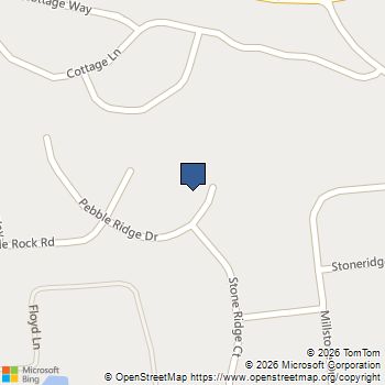 1385 Pebble Ridge Drive Hampton, GA MLS# 10669391