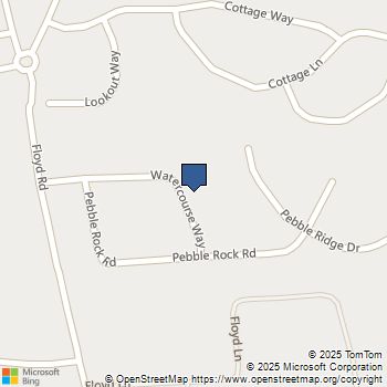 1129 Watercourse Way Hampton, GA MLS# 10663229