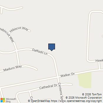 549 Daffodil Lane McDonough, GA MLS# 10866833