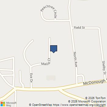 66 Mallie Court Hampton, GA MLS# 10765981