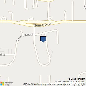 227 Tom McGuinness Jr Circle Fallbrook, CA MLS# SW25243851