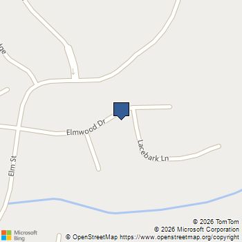 302 Lacebark Lane Hampton, GA MLS# 7849608