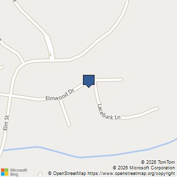 302 Lacebark Lane Hampton, GA MLS# 10867376