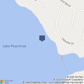 445 Seabisuit Walk Peachtree City, GA MLS# 10627798