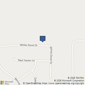 791 White Dove Drive McDonough, GA MLS# 10709065