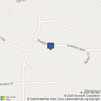 125 Sheldon Way Fayetteville, GA MLS# 10812963