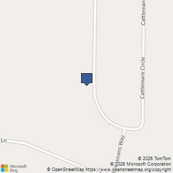 368 Cattlemans Circle McDonough, GA MLS# 10785552
