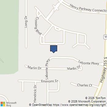 1350 Labonte Parkway McDonough, GA MLS# 10647497