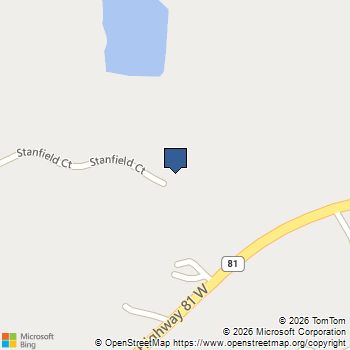 141 Stanfield Court Hampton, GA MLS# 10709611