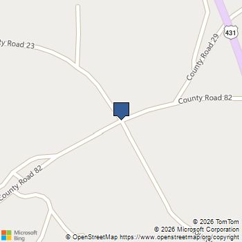 0 County Road 329 Wedowee, AL MLS# 10792305