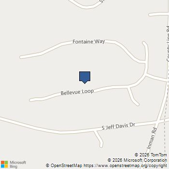 195 Bellevue Loop Fayetteville, GA MLS# 10769998