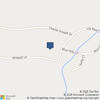 311 Abagail Lane Van Alstyne, TX MLS# 21127541