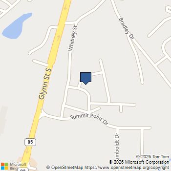 3000 Greg Trail Fayetteville, GA MLS# 10876282