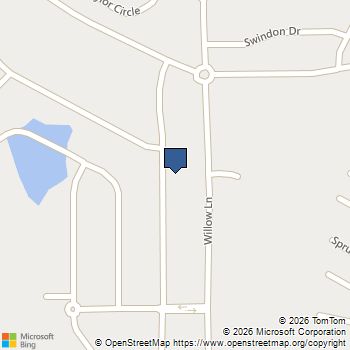 113 Maison Court McDonough, GA MLS# 10831515