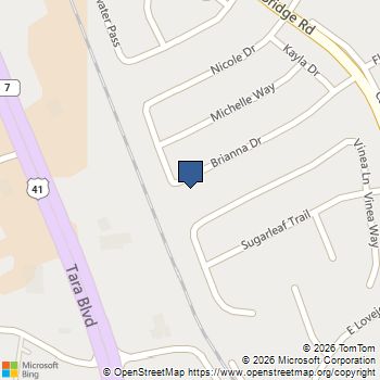 2399 Brianna Drive Hampton, GA MLS# 10836937