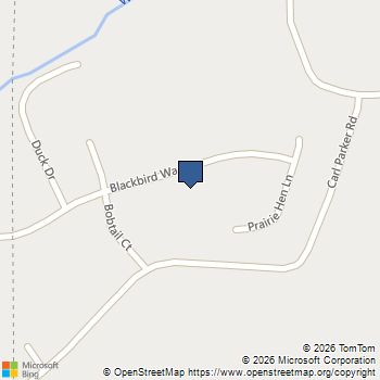 411 Blackbird Way Hampton, GA MLS# 7808577
