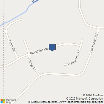 411 Blackbird Way Hampton, GA MLS# 10810033
