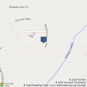 203 Madison Grace Avenue McDonough, GA MLS# 10800404