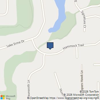 2154 Hammock Trail Hampton, GA MLS# 10761512