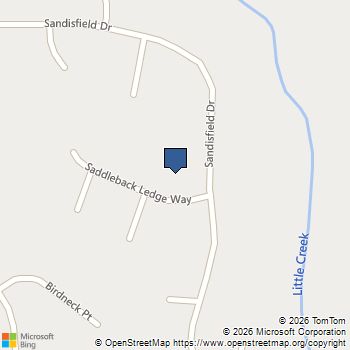 31 Saddleback Ledge Way Sharpsburg, GA MLS# 10809898